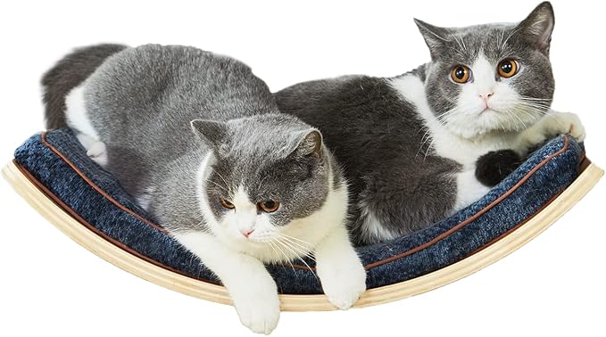 Cat Shelf with Comfortable Cushion - Curved Modern Cat Bed (Large Size) - Lotus Leaf Design Cats Wall Perch - Wall Mounted Cats Furniture for Sleeping, Playing, Climbing, and Lounging