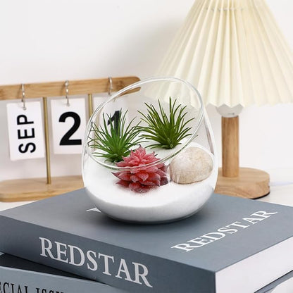 Angoily Cut Bowl Glass Vase Candle Holder Globe Bowl Terrarium Container Glass Planter Fruit Jar Floral Holder