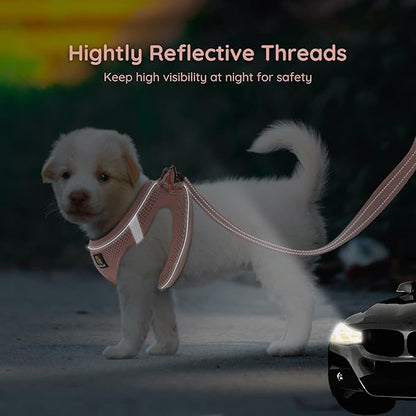 BELLA & PAL Step in Vest Harness for Small and Medium Dogs, No Pull Small Dog Harness with Leash Set, Comfortable Air Mesh Dog Vest Harness with Reflective Strip (Coral Pink, XS)