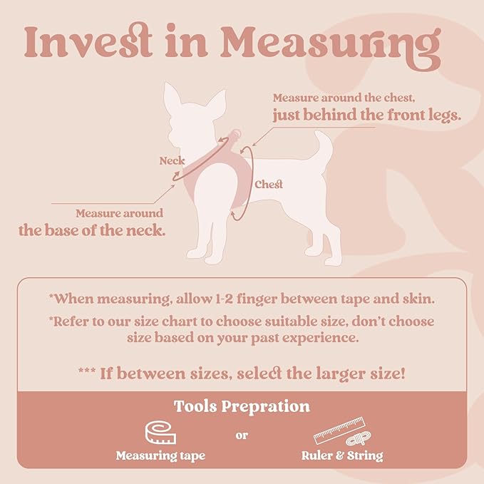 rabbitgoo Small Dog Harness, Step-in Soft Mesh Puppy Vest with Safety Buckle, Breathable Reflective Pet Harness for Small Sized Dogs, Pink M