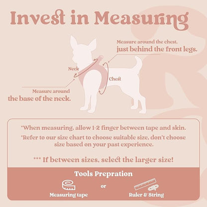 rabbitgoo Small Dog Harness, Step-in Soft Mesh Puppy Vest with Safety Buckle, Breathable Reflective Pet Harness for Extra Small Dogs, Pink XXS