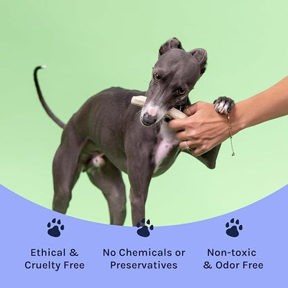 Good Trouble Premium Deer Antlers for Small Dogs – 1 Whole Antler Pets - North American Sourced Deer Antlers for Dental Health & Anxiety Relief - Odor-Free & Non-Toxic Chew Bone for Dogs