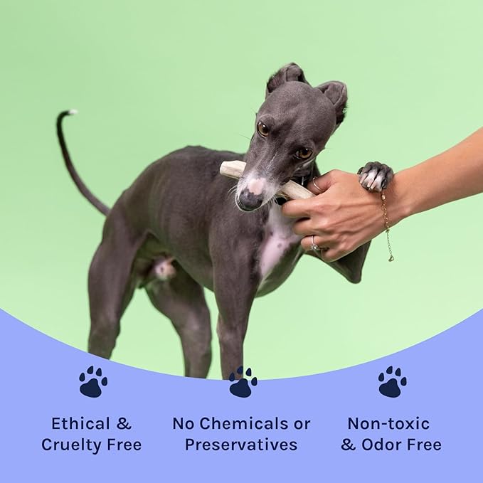 Good Trouble Premium Deer Antlers for Small Dogs – 2 Whole Antlers Pets - North American Sourced for Dental Health & Anxiety Relief - Odor-Free & Non-Toxic Chew Bone for Dogs