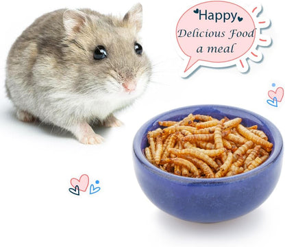 2 Pack Hamster Feeding Bowl, Hedgehog Ice Crack Design Ceramic Dish, Rat Gerbil Small Animal Food and Water Bowl (Colors May Vary)