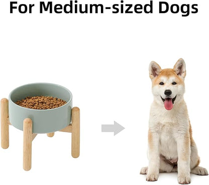 Ceramic 6.1inch Raised Dog Bowl with Stand for Small and Medium Dog Dish Pet Food and Water Bowl (Single Bowl with Stand - Light Green)