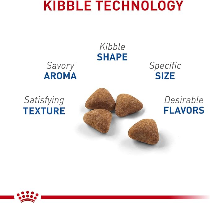 Royal Canin Feline Health Nutrition Indoor Adult Dry Cat Food, 3 lb Bag