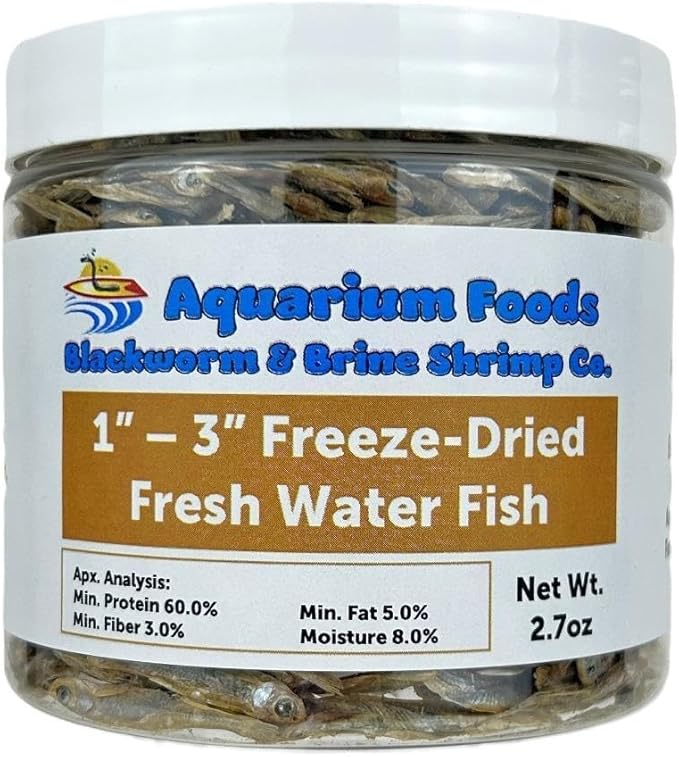 Aquatic Foods Inc. Freeze Dried 1"- 3" Fresh Water Fish for Piranhas Large Fish, Land and Aquatic Turtles, Rodents, Reptiles, Lizards, Cat Treats & More…2.7oz Med Round Jar