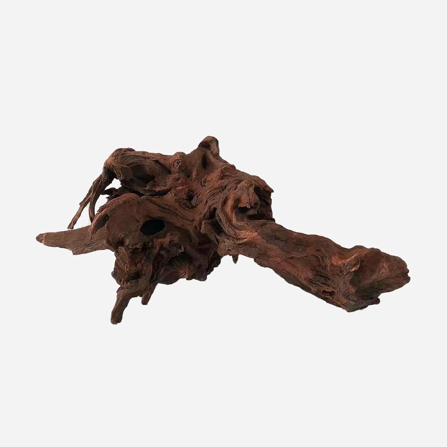 LYPHARD AQUARIUMS Natural Driftwood for Aquarium Decor, L19.69×W8.27×H9.06 Inches Large Drift Wood Decorations for Reptile Hide, Fish Tank, Optional Shapes