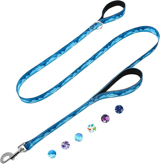 4ft Dog Leash with Two Padded Handles, Heavy Duty Strong Nylon Pet Leash with Soft Neoprene Handle for Small Medium Large Dogs, Blue Sunset