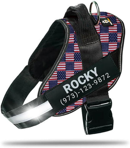 Personalized No-Pull Dog Harness with Name Patch, Adjustable, Reflective, Padded, Heavy Duty Pet Vest to Prevent Tugging, Pulling, or Choking, Training and Walking, US Flag, M