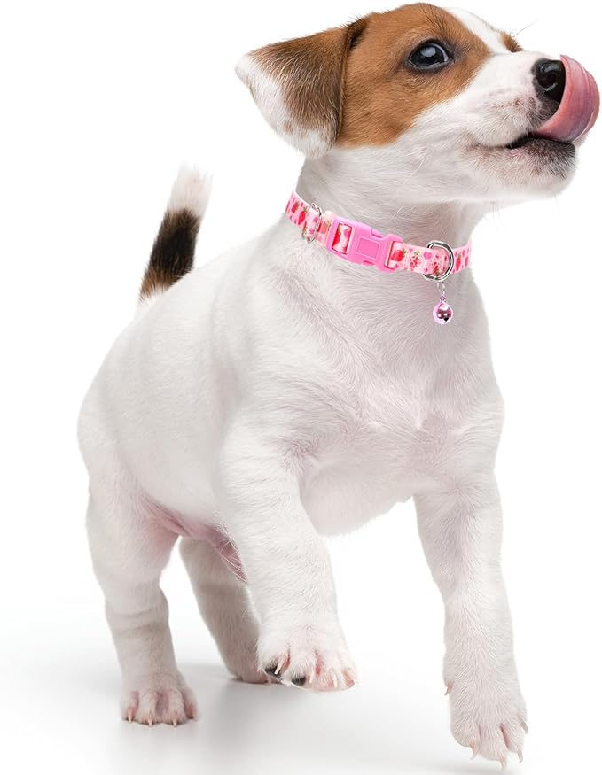 Cute Pink Small Dog Collar with Bell, Soft Adjustable Strawberry Puppy Collar Tiny Cat Collars with Bells for XS Small Girl Female Dogs Little Animal,S