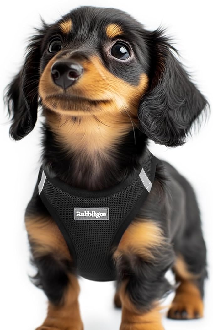 rabbitgoo Small Dog Harness, Step-in Soft Mesh Puppy Vest with Safety Buckle, Breathable Reflective Pet Harness for Extra Small Dogs, Black XXS