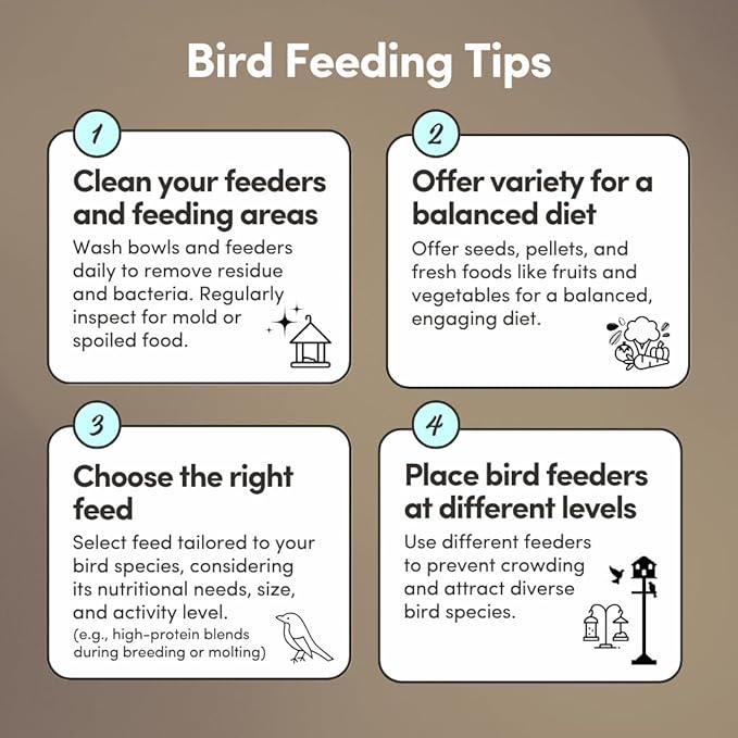 Mycelium Wild Bird Plus Feed (5 LBS) | Organic, Shell-Free Bird Seed for Doves, Pigeons, Quail & Game Birds | Clean, Low-Mess Wild Bird Food for Outside Feeders | No Sunflower | Non-GMO, Made in USA