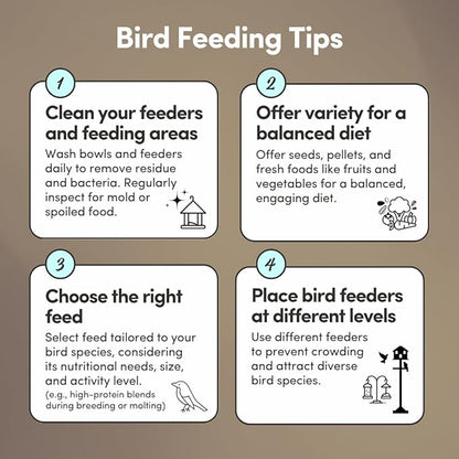 Mycelium Wild Bird Plus Feed (5 LBS) | Organic, Shell-Free Bird Seed for Doves, Pigeons, Quail & Game Birds | Clean, Low-Mess Wild Bird Food for Outside Feeders | No Sunflower | Non-GMO, Made in USA