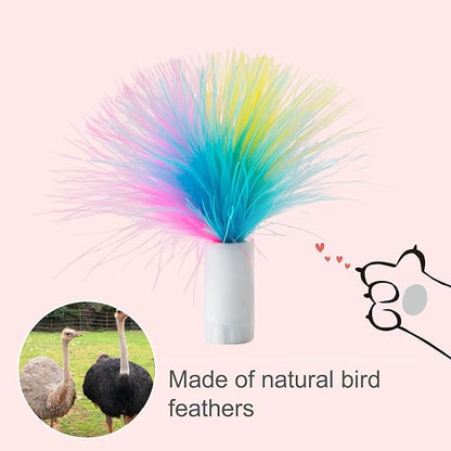 ORSDA 6Pcs Interchangeable Attachments Cat Feather Toys Replaceable Feathers and Fluffy Toy Accessories