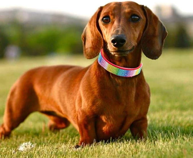 Rhinestone Dog Collar, Cute Dazzling Sparkling Soft Suede Leather Adjustable Pet Dog Cat Collar Crystal Diamond for Puppy Small Medium Large Dogs (S:26-32cm, Red-2)