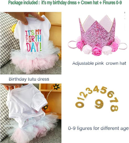 ANIAC Dog Birthday Dress and Hat Set Puppy Lace Tutu Pink Pet Crown Hat with 0-9 Figures Birthday Outfit for Cats Small Dog (White+Pink,X-Large)