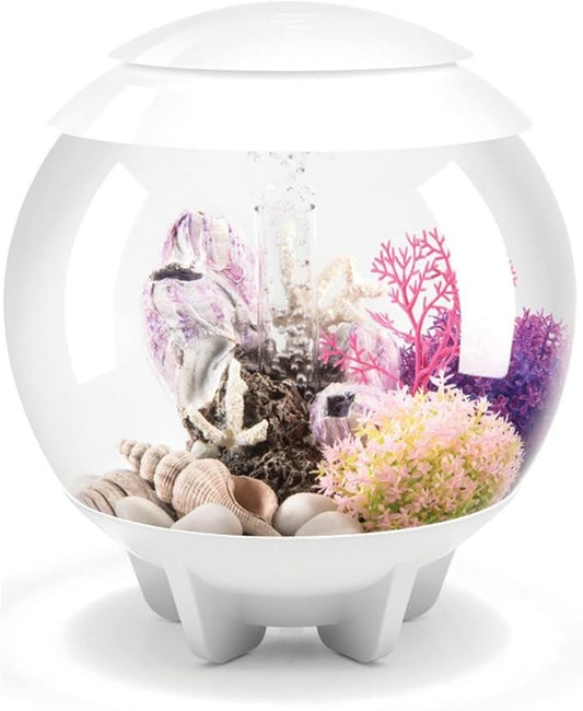biOrb Halo 15 Acrylic 4-Gallon Aquarium with Multi-Color Remote-Controlled LED Lights Modern Compact Tank for Tabletop or Desktop Display, White