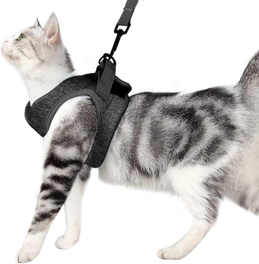 HEYWEAN Cat Harness and Leash - Ultra Light Escape Proof Kitten Collar Cat Walking Jacket with Running Cushioning Soft and Comfortable Suitable for Puppies Rabbits