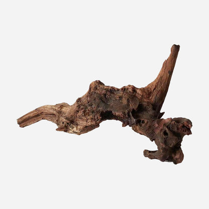 LYPHARD AQUARIUMS Natural Driftwood for Aquarium Decor, L21.65×W6.3×H8.66 Inches Large Drift Wood Decorations for Reptile Hide, Fish Tank, Optional Shapes