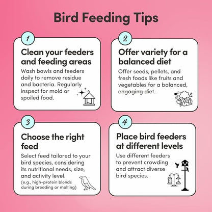 Mycelium Pet Bird Protein Bird Seed Mix (5 LB Bag) | High-Protein Bird Food for Finches, Canaries, Budgies & Parrotlets | Supports Energy & Growth | Organic, Non-GMO Daily Diet | Made in USA