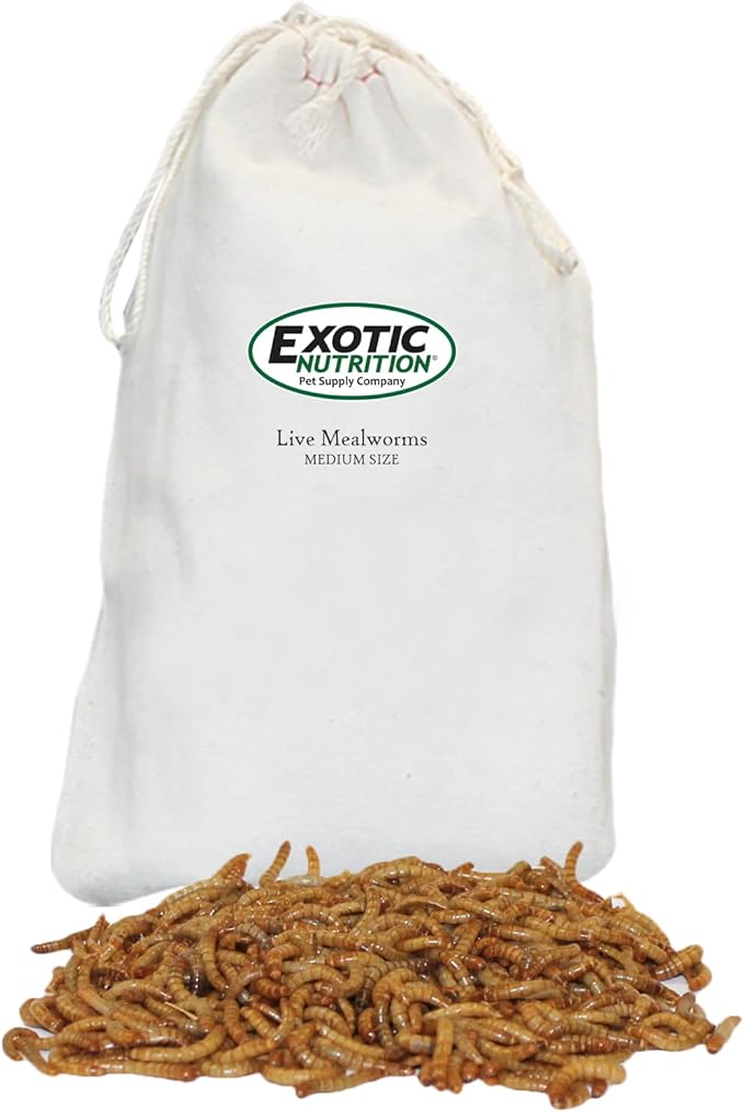 Exotic Nutrition Medium Live Mealworms (1/2") (5,000 Pack)