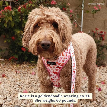 Lucy & Co. Cute Reversible Dog Harness Walking Halter - Best Designer Pet Harnesses for XS - XL Dogs - Padded Adjustable Vest for Easy Walking. (Howdy, Honey Reversible Harness).