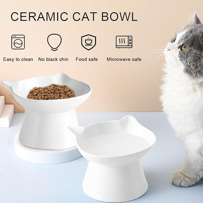Ceramic Elevated Cat Bowl, Raised Cat Food Water Bowl for Indoor Cats with Stand, Titled Anti-Vomiting Cat Dish，Whisker Friendly, All Life Stage