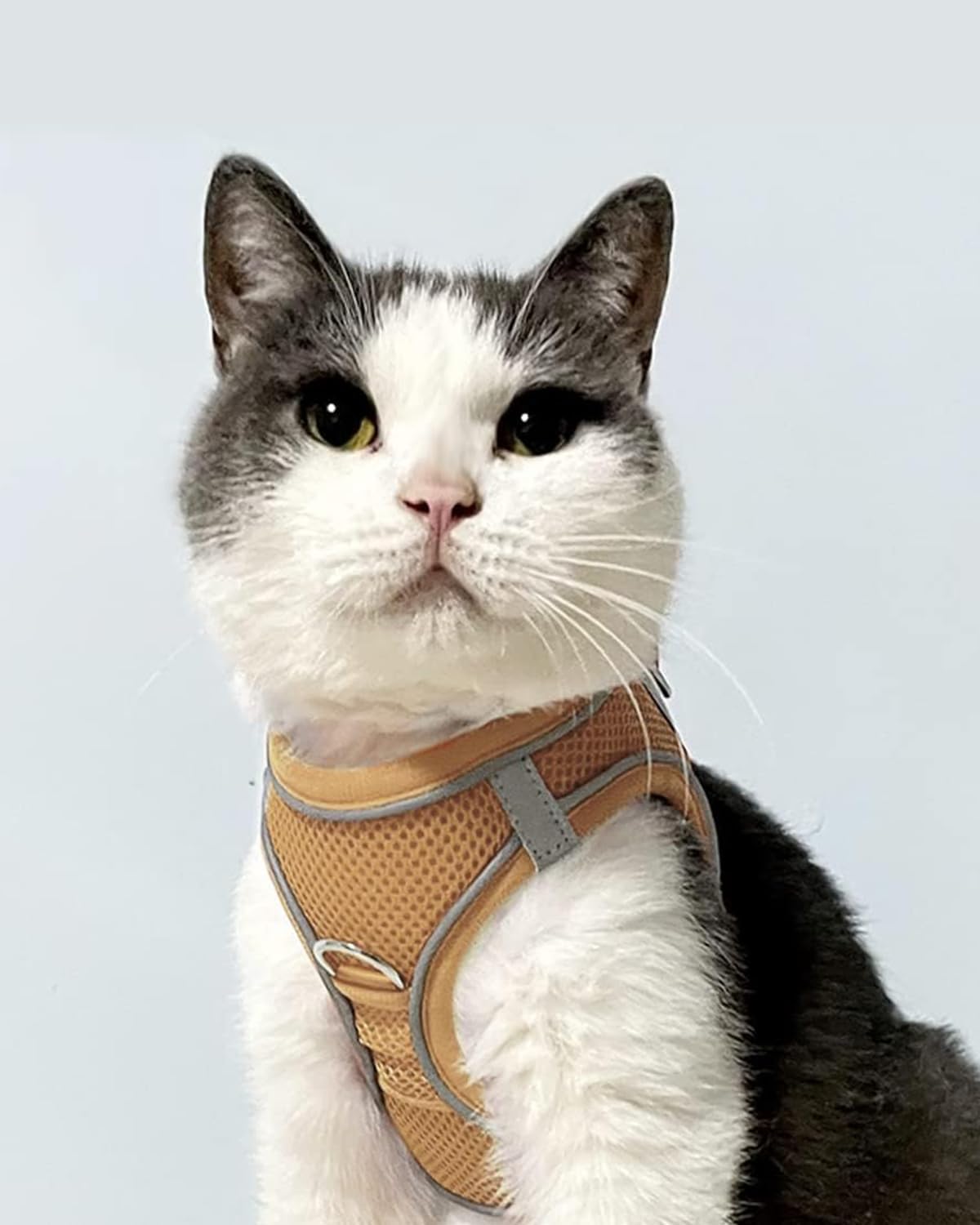 Joytale Small Dog Harness, Breathable Mesh Step-in Vest, Reflective Soft Padded Harnesses for Cats, Puppies and Extra Small Dogs, Brown, XXS