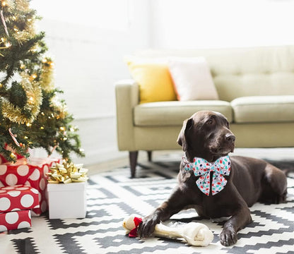 DOGWONG Christmas Dog Collar with Sailor Bow, Party Lights Dog Collar Soft Durable Adjustable Cotton Colorful Puppy Collar for Small Medium Large Dog