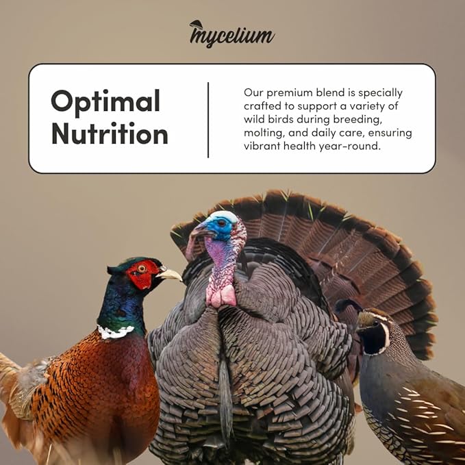 Mycelium Wild Bird Plus Feed (5 LBS) | Organic, Shell-Free Bird Seed for Doves, Pigeons, Quail & Game Birds | Clean, Low-Mess Wild Bird Food for Outside Feeders | No Sunflower | Non-GMO, Made in USA