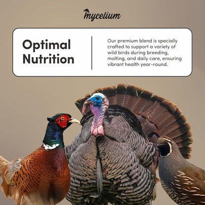 Mycelium Wild Bird Plus Feed (5 LBS) | Organic, Shell-Free Bird Seed for Doves, Pigeons, Quail & Game Birds | Clean, Low-Mess Wild Bird Food for Outside Feeders | No Sunflower | Non-GMO, Made in USA