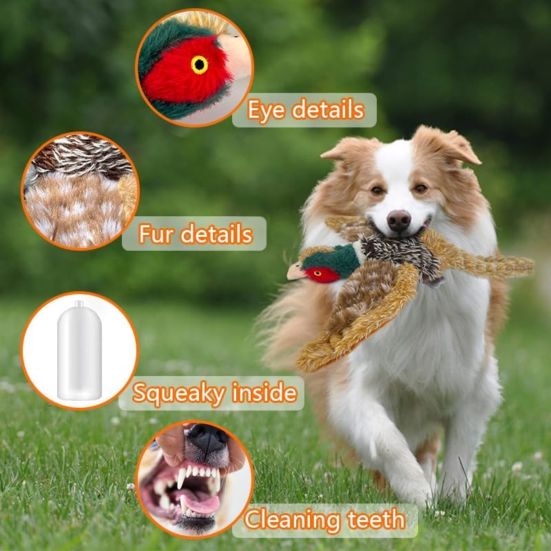 Pheasant Dog Toy Squeaky Pet Toys,Pheasant Interactive Chew Toys Stuffed Teething Toys for Large Medium Small Dog,Pheasant Dogs Toys Squeaky Toy to Keep Them Busy (R-2pheasant)