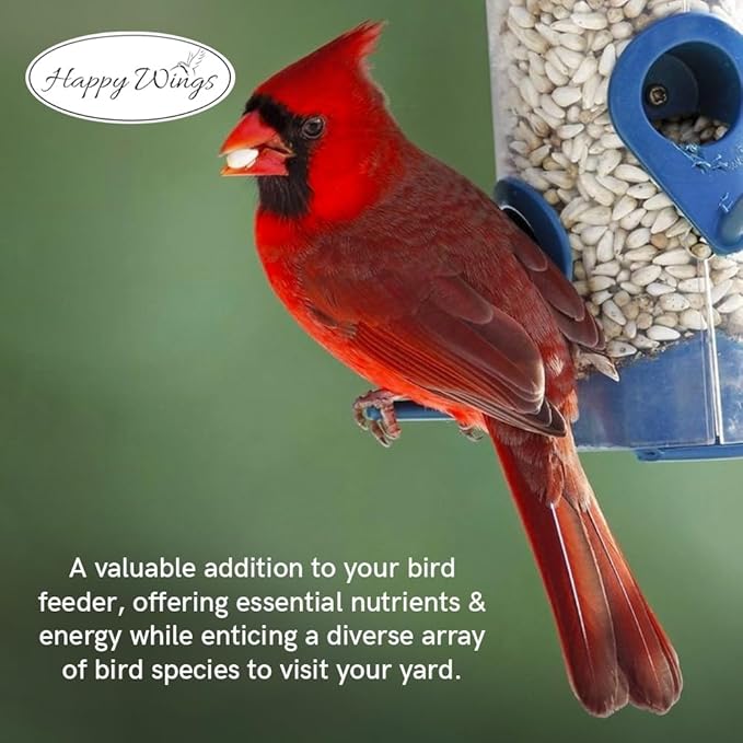 Happy Wings Sunflower Hearts & Chips - Sunflower Kernels and Chips Bird Food - 5 Lb No Mess, No Waste I No Grow Seed | Bird Seed for Wild Birds