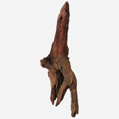 LYPHARD AQUARIUMS Natural Driftwood for Aquarium Decor, L15.75×W7.87×H14.17 Inches Large Drift Wood Decorations for Reptile Hide, Fish Tank, Optional Shapes
