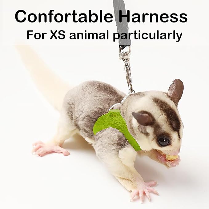 3 Pack Sugar Glider Harness and Leash Set Small Animal Training Walking Vest for Squirrel Hamster Rat-Green