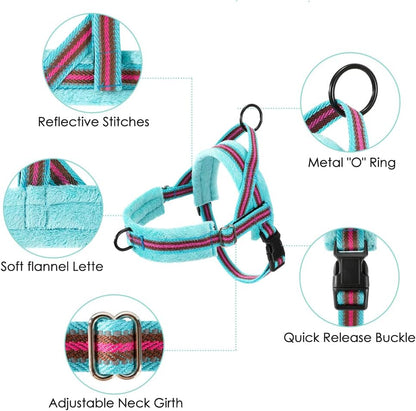 Lukovee No Pull Dog Harness and Leash Set, Soft Padded Small Dog Harness, Neck & Chest Adjustable Reflective Vest Puppy Harness with 4ft Lightweight Anti-Twist Dog Leash for Small Dogs (XXS, 01-LBL)