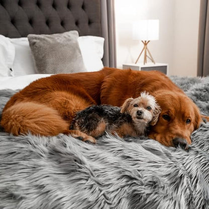 PAW BRANDS PupProtector Waterproof Throw Blanket for Dogs and Cats, Pet Blanket Cover for Couches, Sofas, Beds, Car Seats, Furniture, Calming Soft Faux Fur, Charcoal Grey, Original (60" L x 50" W)