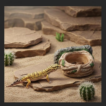 Magnetic Reptile Feeding Ledge, Gecko Feeder Ledge with One Piece Cup, Hollow Vine Food Dish, Reptile Water Bowl for Bearded Dragon Lizard Snake