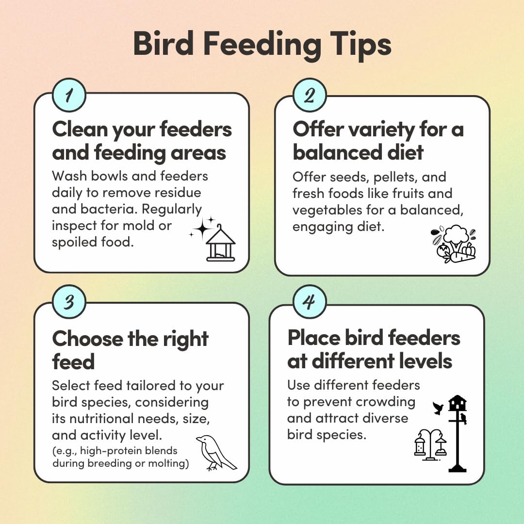 Mycelium Organic Lovebird Superfood (5 LB Bag) | High-Energy Bird Seed for Lovebirds | Premium Seeds, Grains & Superfoods for Brain, Heart, & Digestive Health | Non-GMO, USA Made, No Fillers