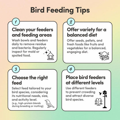 Mycelium Organic Lovebird Superfood (5 LB Bag) | High-Energy Bird Seed for Lovebirds | Premium Seeds, Grains & Superfoods for Brain, Heart, & Digestive Health | Non-GMO, USA Made, No Fillers