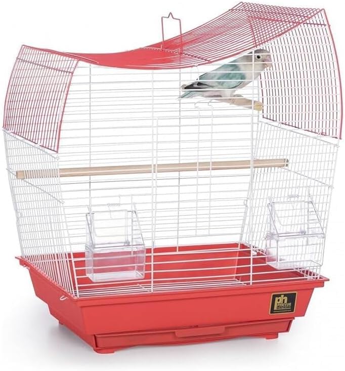 Rustic Retreat Top Bird Cage with Durable Metal Construction, Spacious Interior, and Convenient Top Access Coral/Wave Top