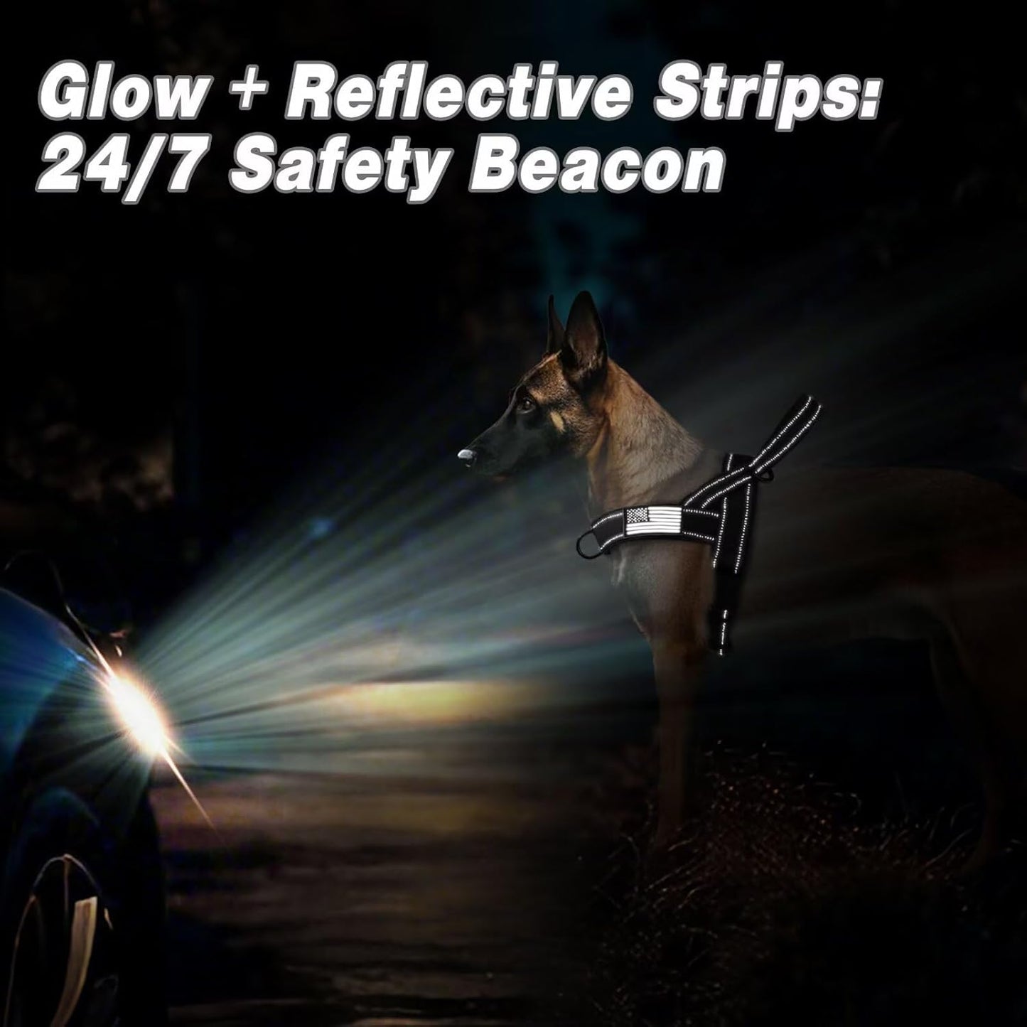 Forestpaw No Pull Dog Harness with Large Handle,Slip on Reflective Vest with Quick Release Buckle,Comfortable Flannel Lining for Medium Large Dogs Walking Training (Includes 3 Patches),Black L