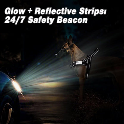 Forestpaw No Pull Dog Harness with Large Handle,Slip on Reflective Vest with Quick Release Buckle,Comfortable Flannel Lining for Medium Large Dogs Walking Training (Includes 3 Patches),Black M