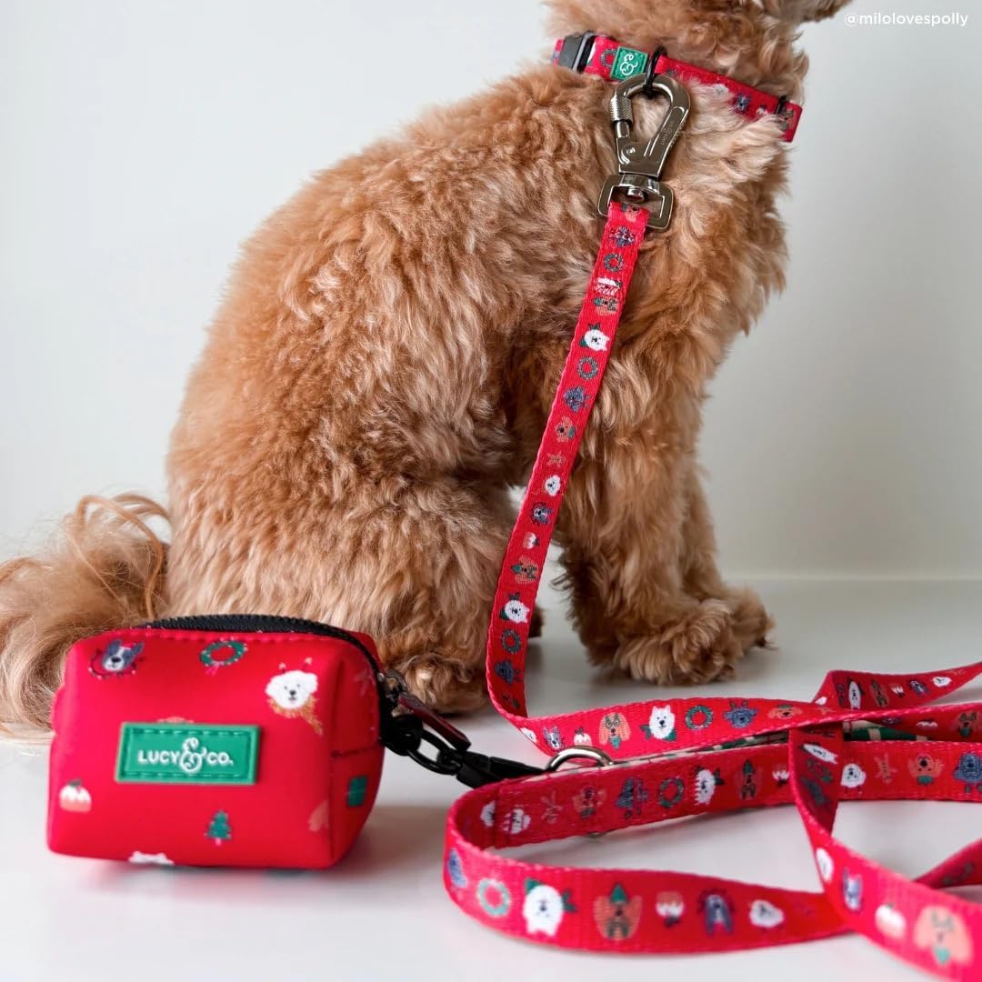 Lucy & Co. 5 Foot Designer Dog Leash for Small, Medium or Big Dogs or Puppies Puppy – Pet Accessories & Supplies- Happy Howlidays - Large