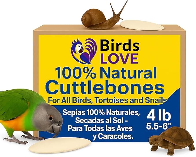 Birds LOVE Natural Cuttlebone – Premium Calcium for Cockatiel, Parrots, Tortoise, Snails, Crabs and Chinchillas - Pure Cuttlebone for Birds - Parakeet Food and Bird Treats - 4lb, Size 5.5 to 6"