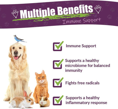 Amber NaturalZ Vibactra Immune Support Herbal Supplement for Dogs, Cats, Birds, Guinea Pigs, and Rabbits | Pet Herbal Blend for Overall Health | 1 Fluid Ounce Glass Bottle | Manufactured in The USA