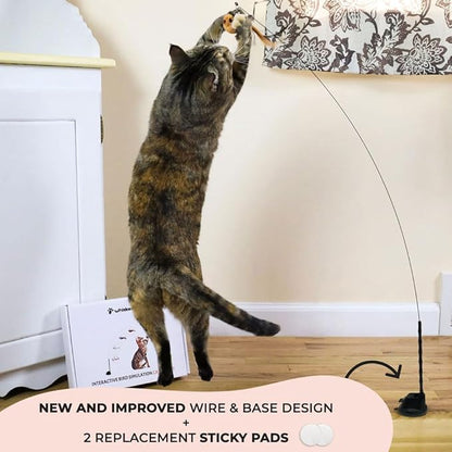 Whiskertons Interactive Bird Simulation Cat Toy Set, Interactive Cat Toys for Indoor Cats, Cat Feather Toy, Self-Holding Suction Base, 5 Replacement Birds, Feathers & Bells, Realistic Bird Impression