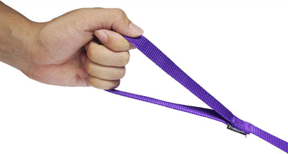 Strong Durable Nylon 10ft Long Dog Training Leash, Traction Rope, 1 Inch Wide, for Small and Medium Dog (Purple, 10 Feet)