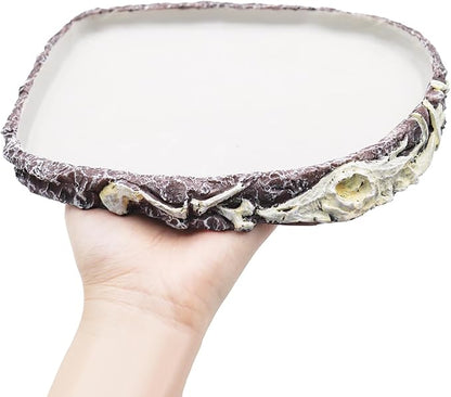 Bearded Dragon Food Bowl Water Dish, Resin Reptile Feeder Kit, Tank Aquarium Terrarium Accessories, Feeding Bowl for Amphibian Hermit Crab Turtle Lizard Chameleon Frog - 8 × 6 × 0.8 inch